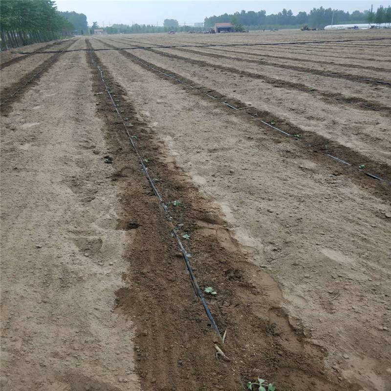 agricultural drip tape